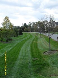 Mowing, Darnestown, MD