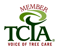 TCIA membership helps us to stay up with the lates