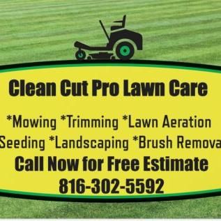 Clean Cut Pro Lawn Care