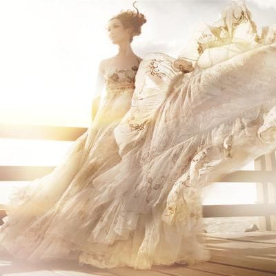 Through the Lens Photography