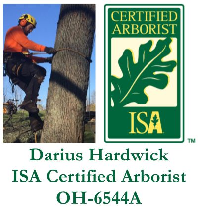 Certified Arborist on staff