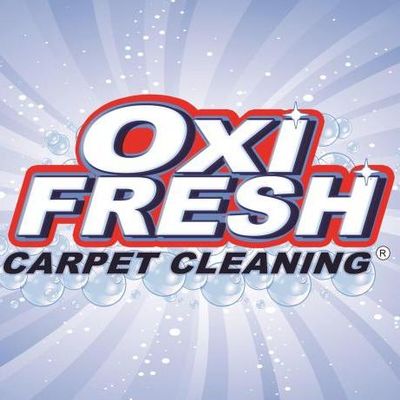 The 10 Best Carpet Cleaning Services In Palm Springs Ca 2021