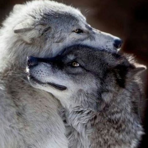 Rob N Son Power Washing