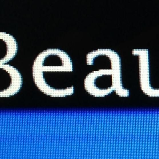 Beau's Blue Line Lawn Service LLC