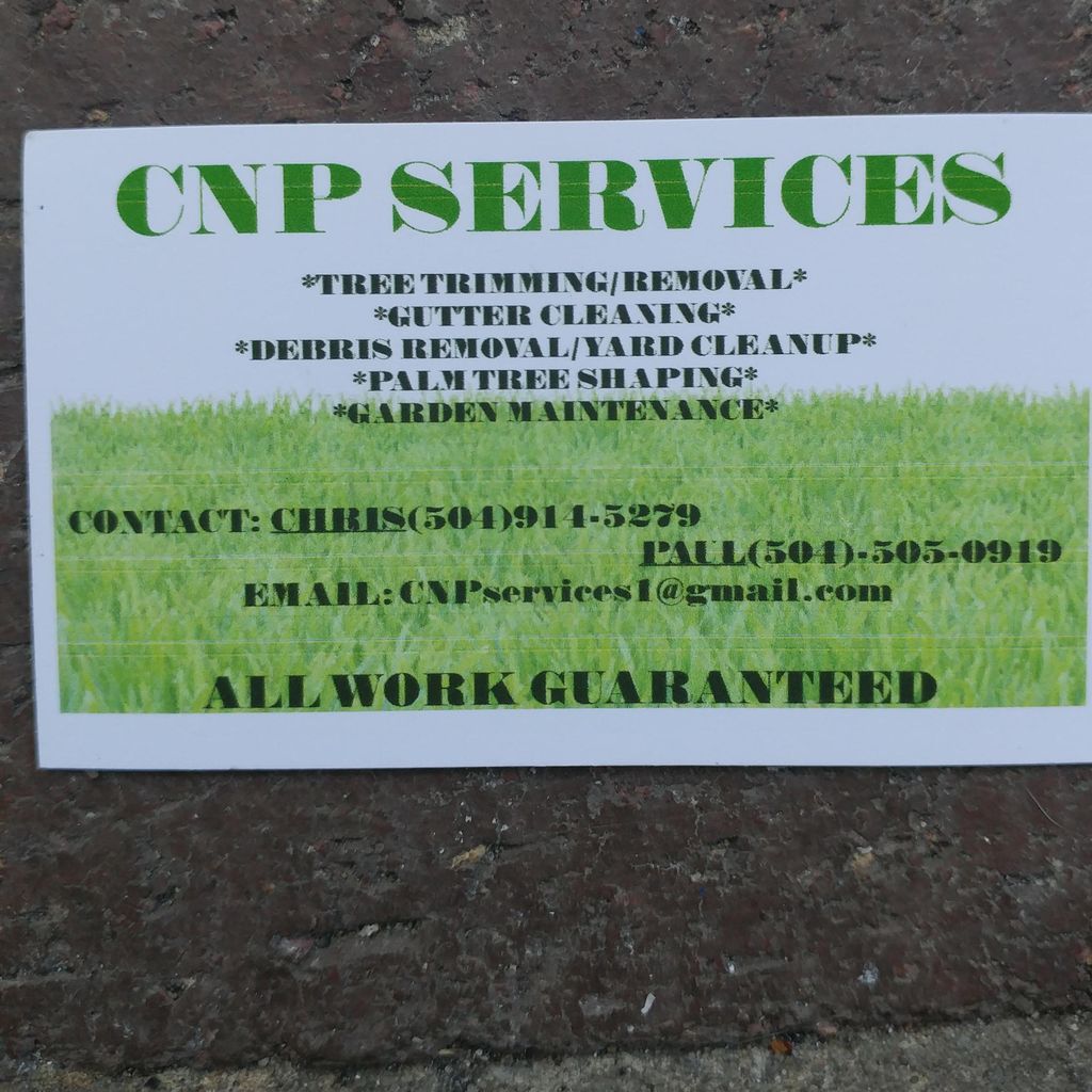CNP Services