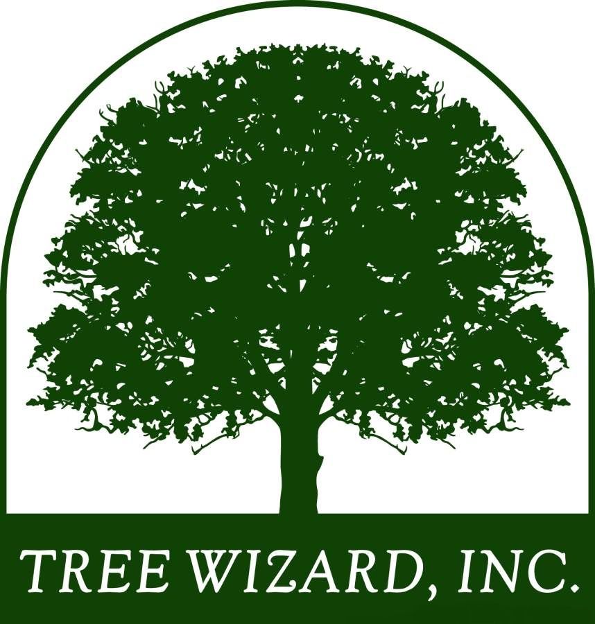 Tree Wizard has been in business since 2001 in the