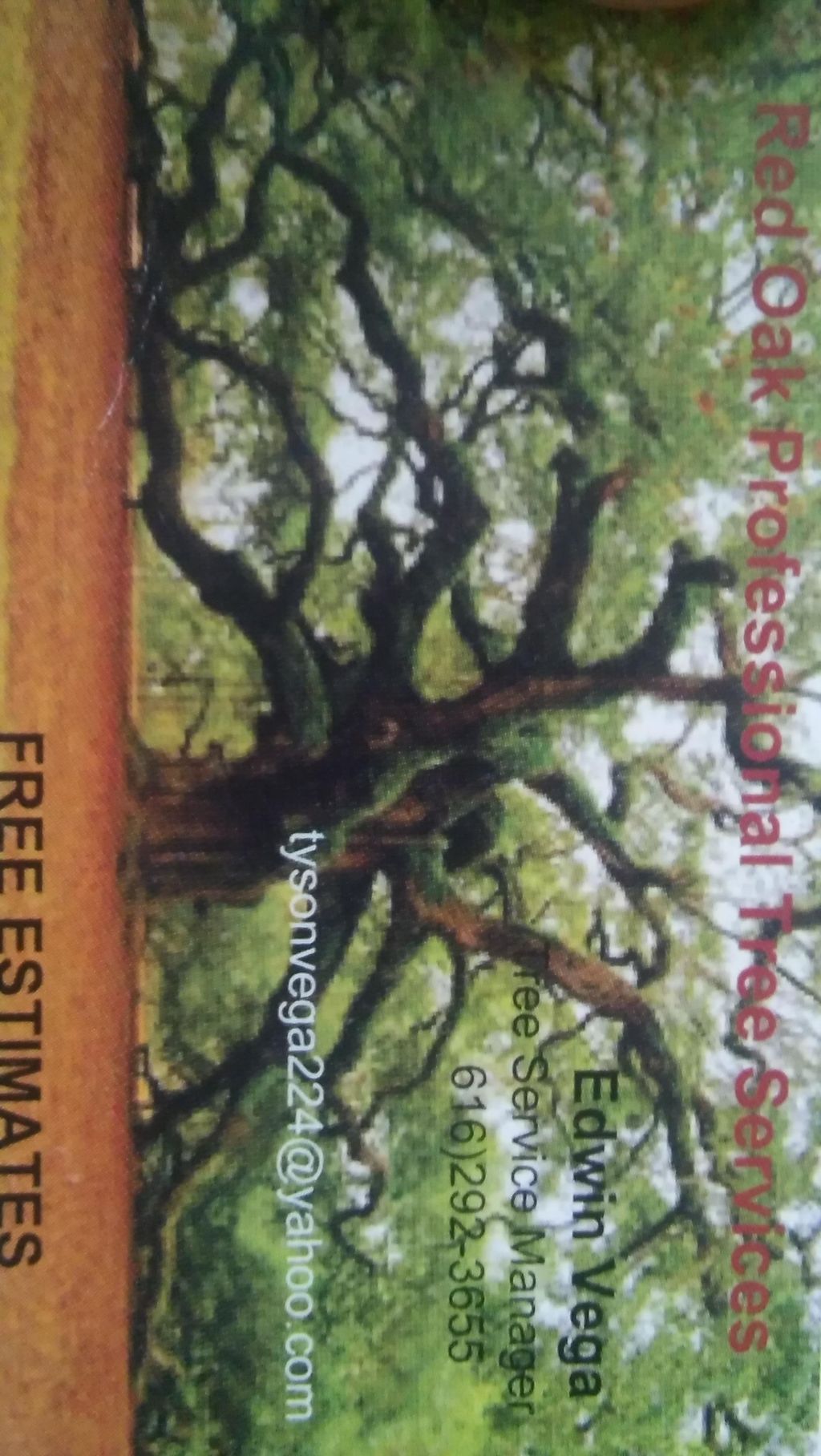 Red oak professional  tree service