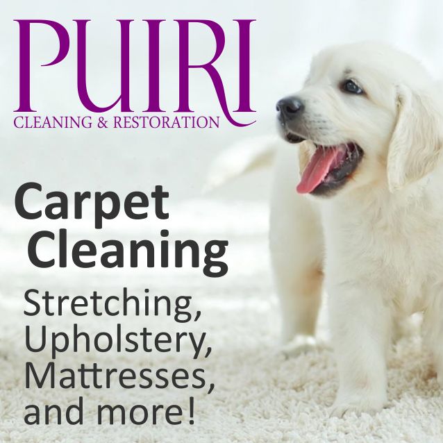 PUIRI Cleaning & Restoration