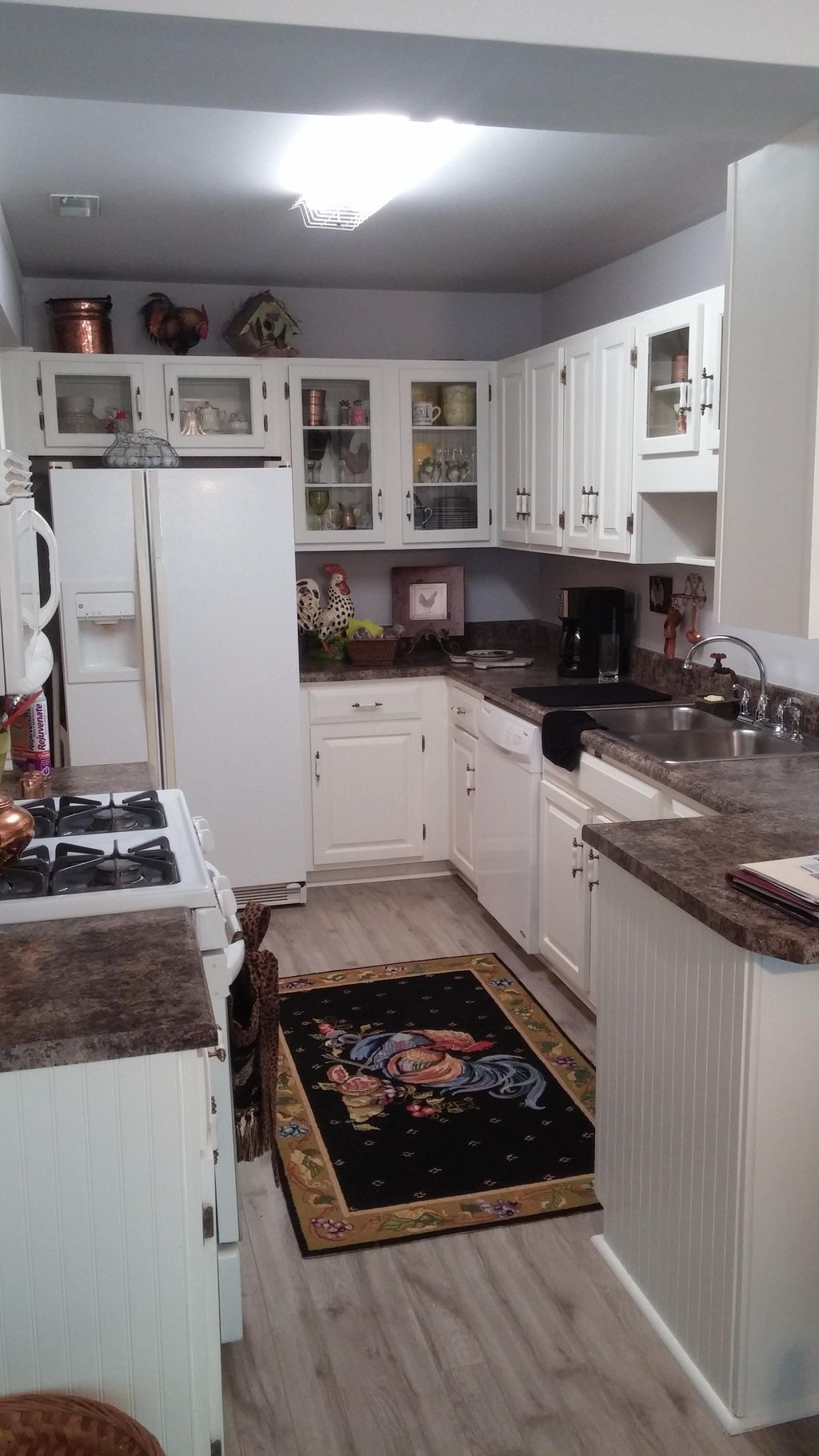 25 yr old - Kitchen Remodel - Cabinet refinishing,