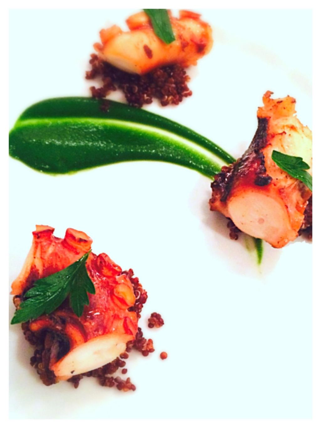 Octopus with Quinoa and Parsley