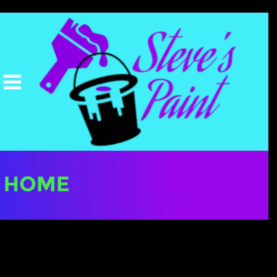 Steve's paint