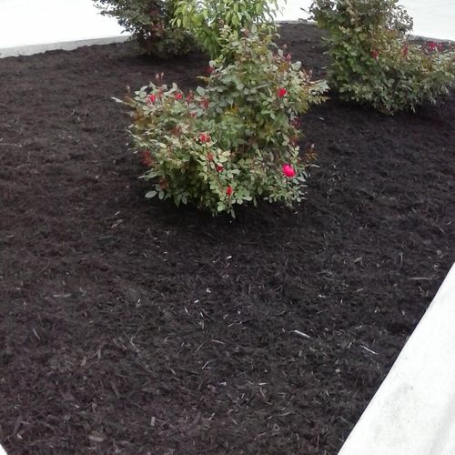 Landscaping in Steubenville after