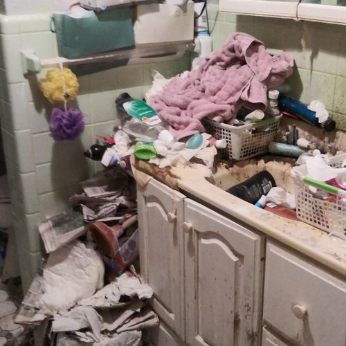 before picture of Hoarders bathroom 7 hours