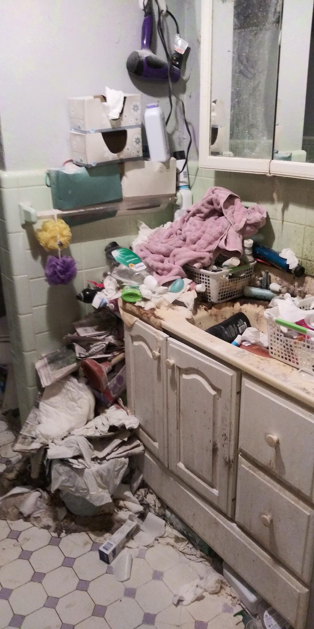before picture of Hoarders bathroom 7 hours