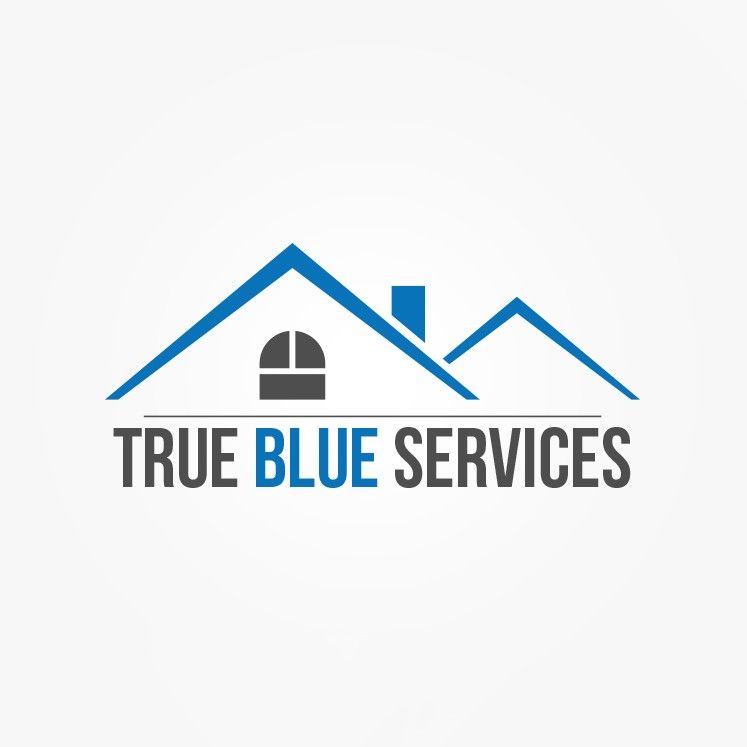 True Blue Services LLC