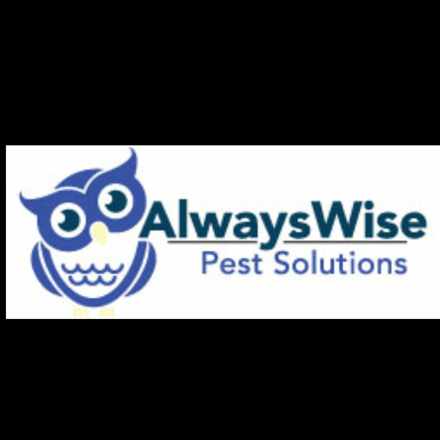 Always Wise Pest Solutions