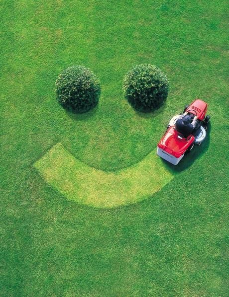 Say Love Lawn & Landscape