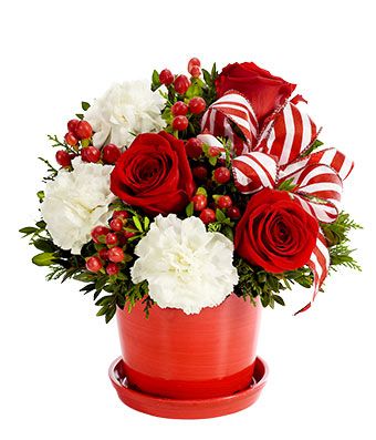 Christmas Peppermint Holiday Surprise Arrangement
