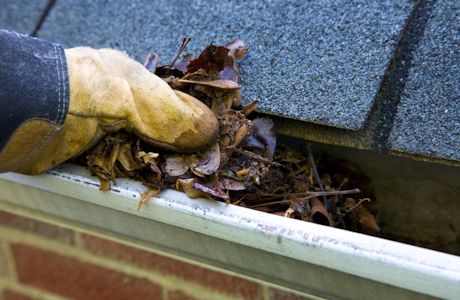We ONLY hand clean your gutters - its yucky, but t