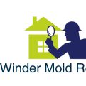 Winder Mold Removal Experts