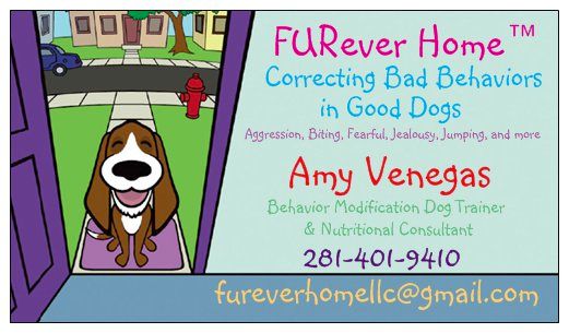 FURever Home Behavior Modification Dog Training Bu