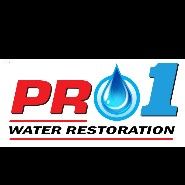Pro1 Water Restoration