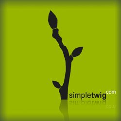 SimpleTwig Architecture, LLC