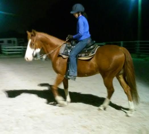 Mask was a troubled horse that had trust issues wi