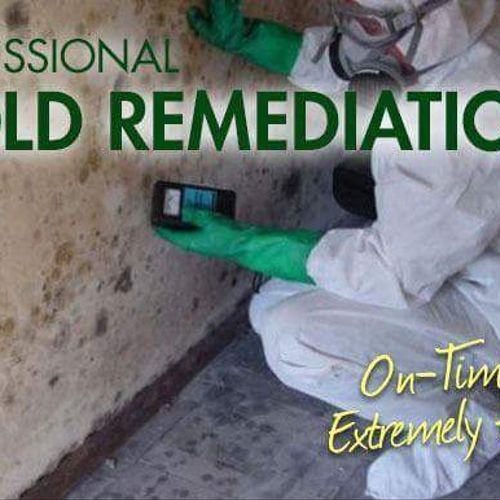 Professional Mold Remediation 