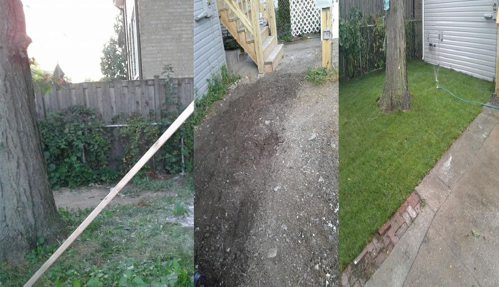 Before and After Sod Project.