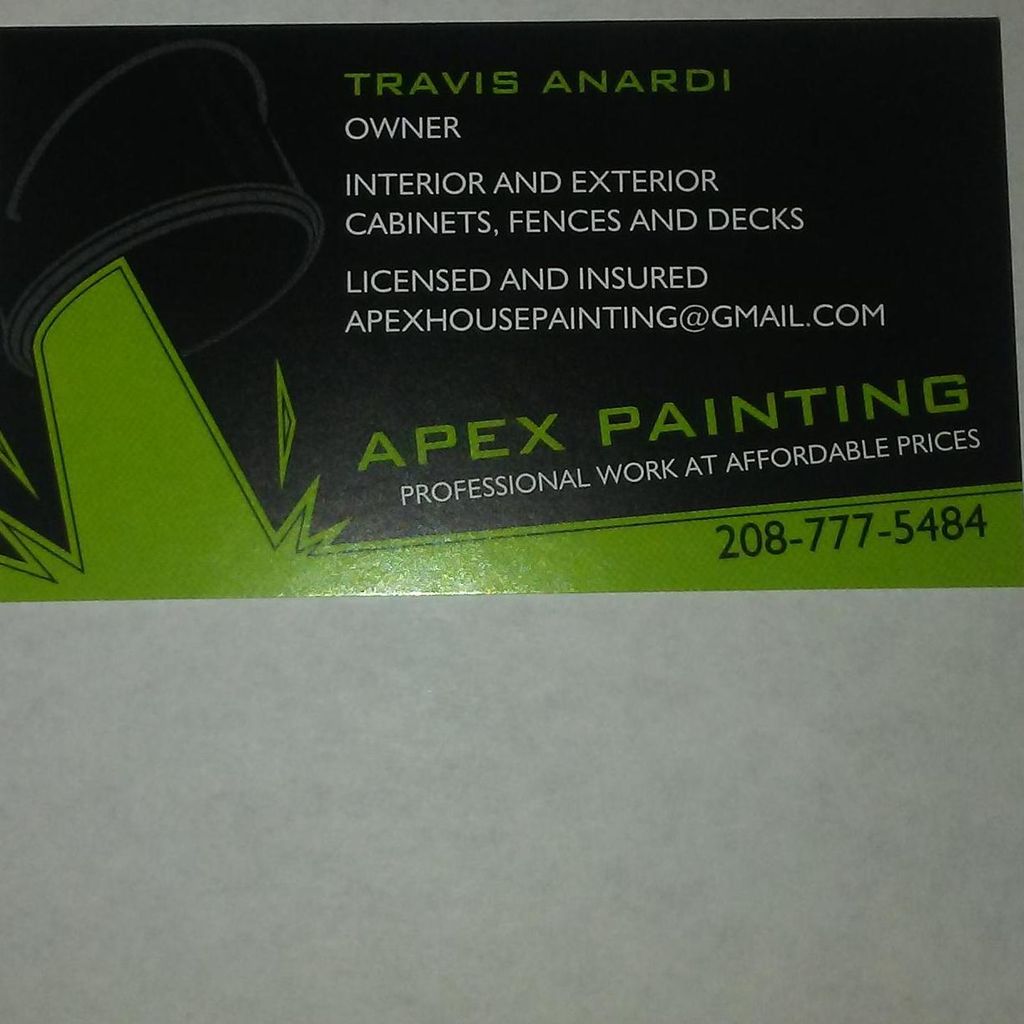 APEX ROOFING AND PAINTING