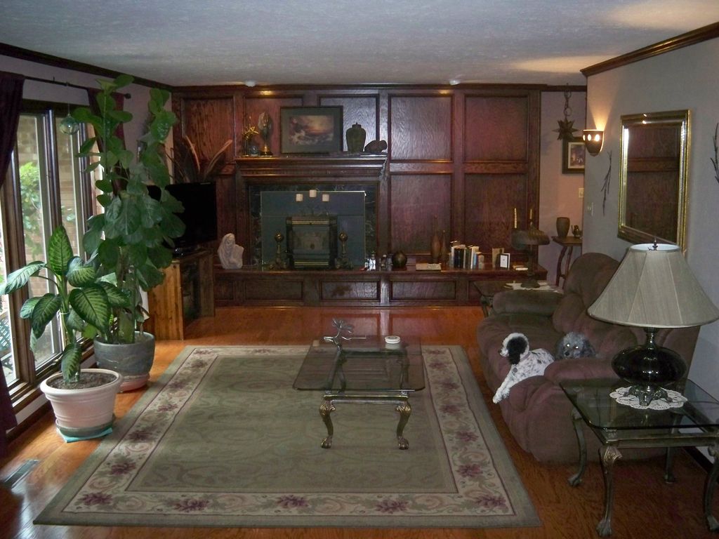 Living Room Ceilings and Walls