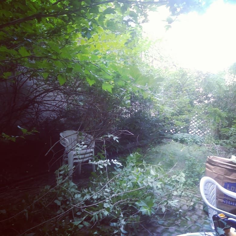 Beacon Hill hidden garden: before