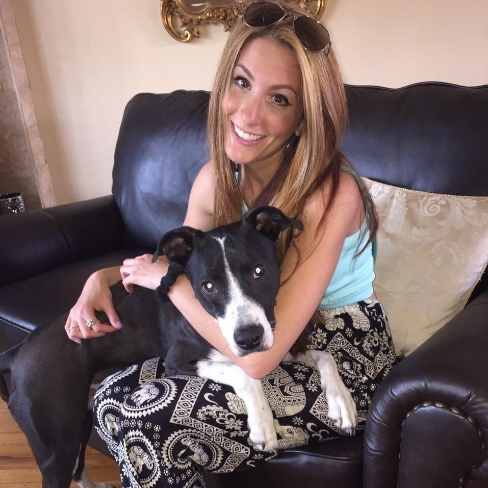 Lindsay's Pet Care Service