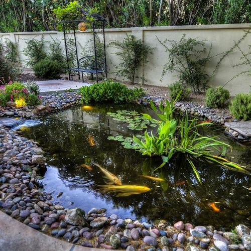 Professional Koi Pond Maintenance & Cleanings - Or