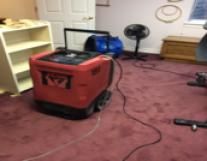 Dehumidifiers are used to increase the drying proc