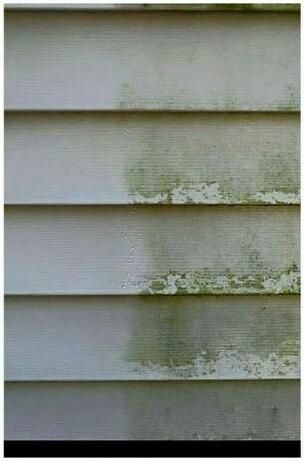 Mildew just washing away