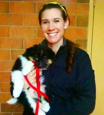 volunteering with puppies