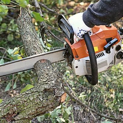 Peraza´s  tree service Profile Picture