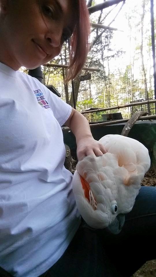 A great relationship with a great animal.