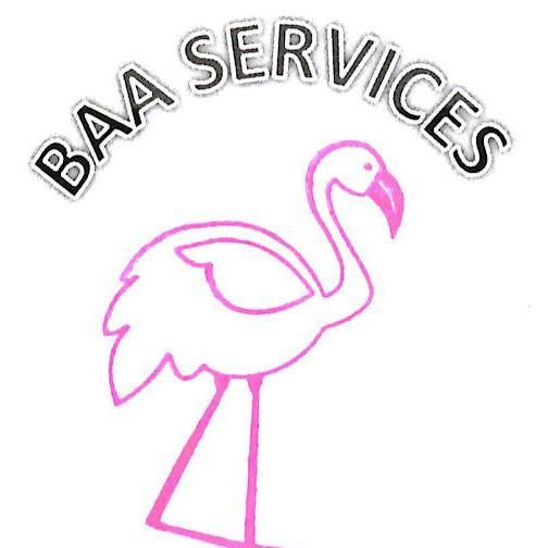 BAA Services, LLC