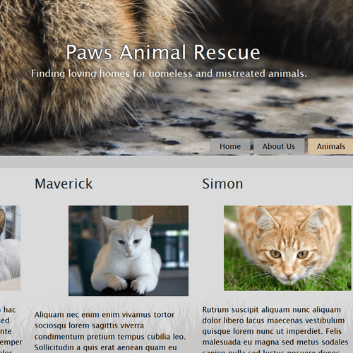 Animal Rescue Website Design -  2 Column Layout, M
