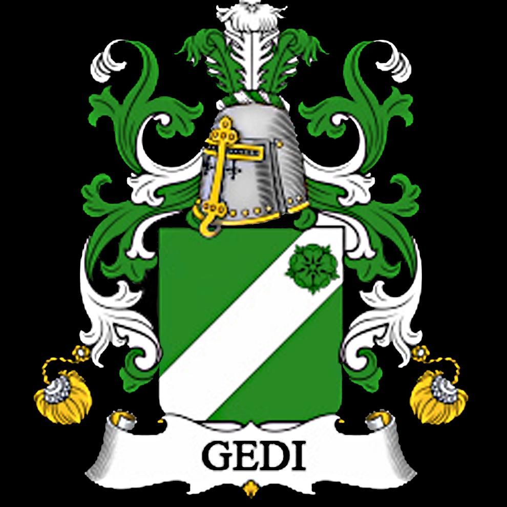 GEDI Inc.