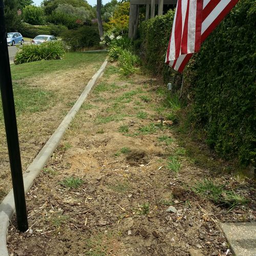 Before: clean out of 80' by 10' front yard bed are