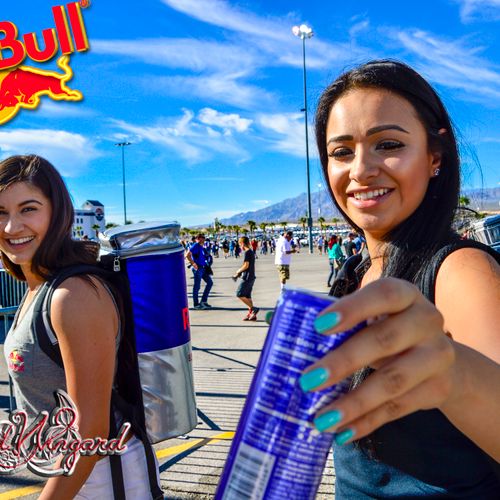 Red Bull Girls at the World Championship AirRaces 