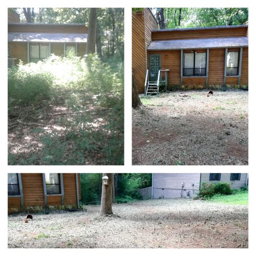 Before and After Lawn Care 8/28/18
