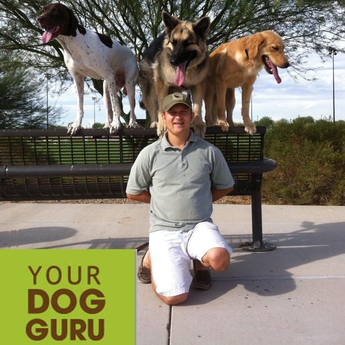 Your Dog Guru
