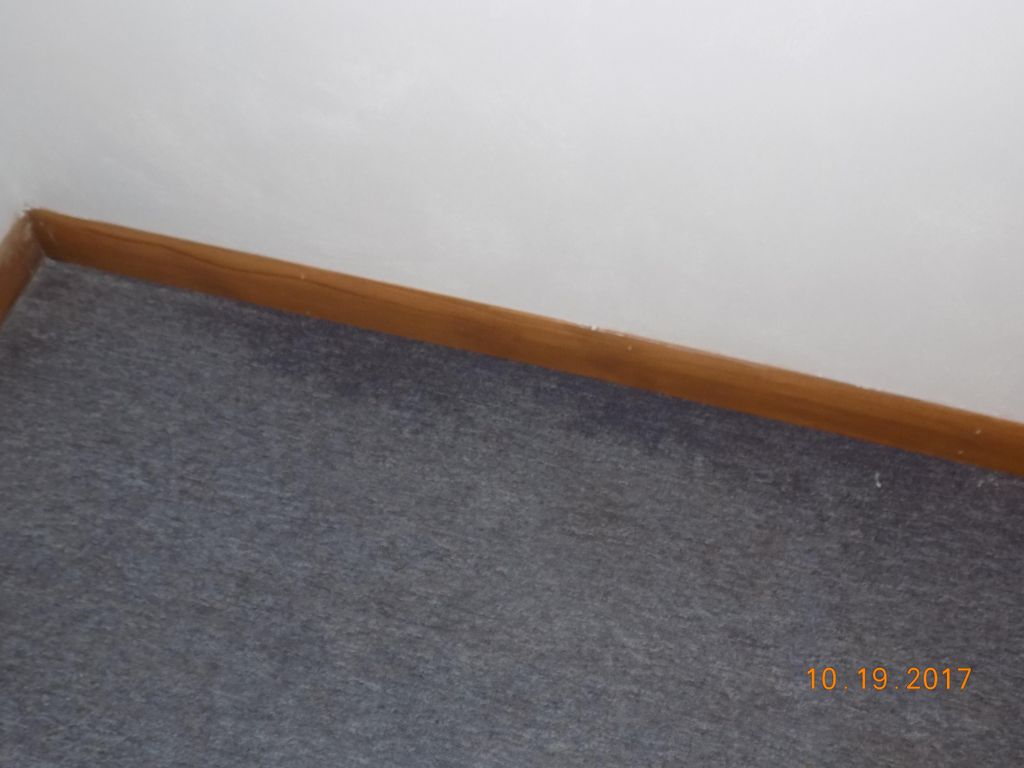 The dark (wet) spot on the basement carpet shows t
