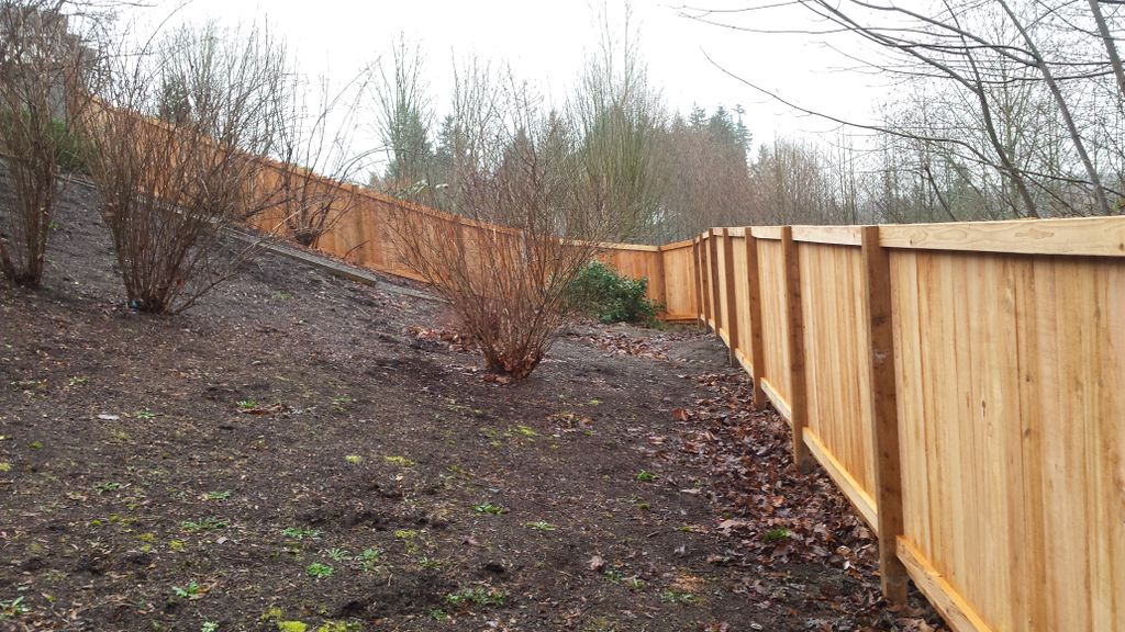 "Ranch" and "Executive" style mix.  Cedar fence wi