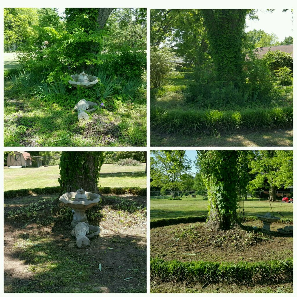 Overgrown weed cutting